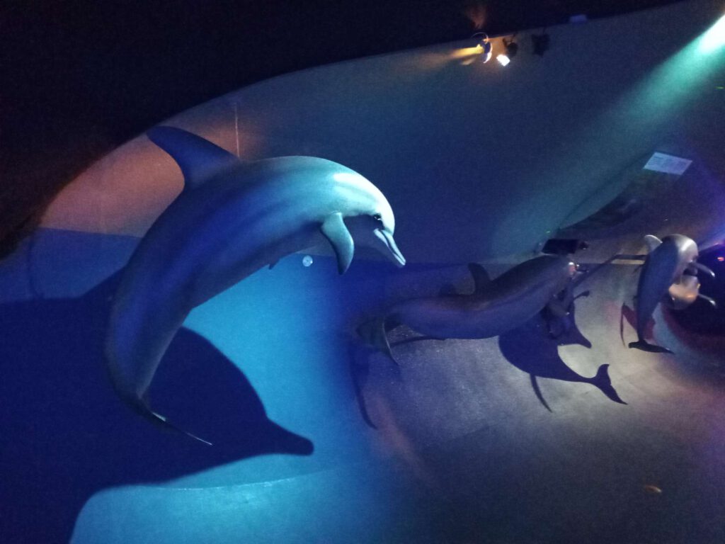 Tegen een blauwe want zijn een soort poppen gemaakt van zwemmende dolfijnen.