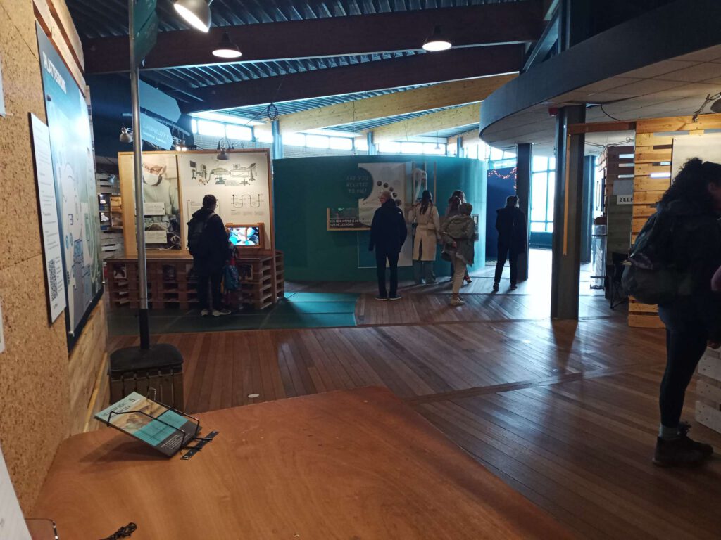 Op de foto een overzicht van de entreehal van zeehondencentrum Pieterburen met een houten vloer en een stalen dak, verschillende presentatiewanden en een video.